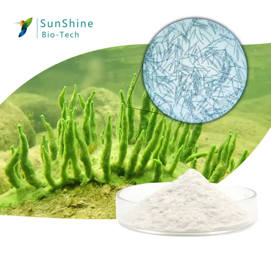 SQT szivacstű szilícium tű terápia